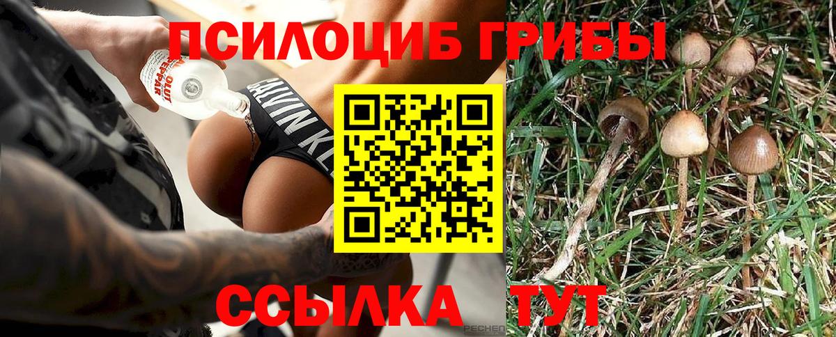 Галлюциногенные грибы Magic Shrooms  Вход с VPN  Псилоцибиновые грибы GOLDEN TEACHER  Троицк 