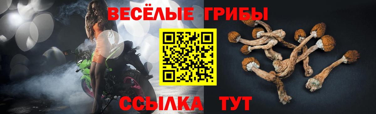 Псилоцибиновые грибы Psilocybine cubensis Троицк